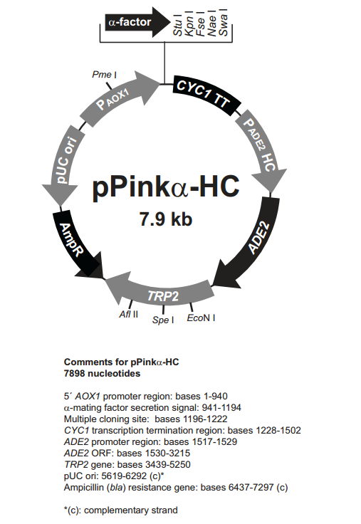 pPinkα-HC 质粒图谱