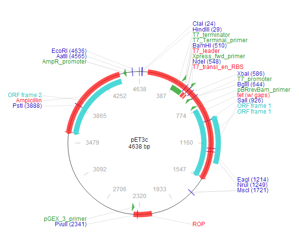 pET-3c 质粒图谱