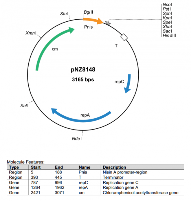 pNZ8148 质粒图谱