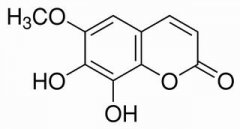 秦皮素 分析标准品,HPLC≥98% 574-84-5
