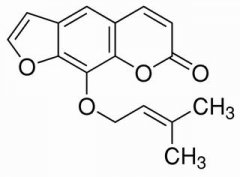 欧前胡素 分析标准品,HPLC≥98% 482-44-0