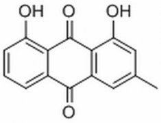 大黄酚 分析标准品,HPLC≥98% 481-74-3