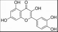 槲皮素 分析标准品,HPLC≥98% 117-39-5