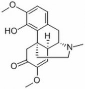 青藤碱 分析标准品,HPLC≥98% 115-53-7