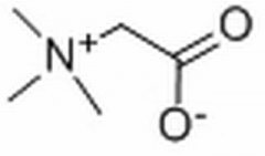 甜菜碱 分析标准品,HPLC≥98% 107-43-7