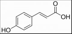 对香豆酸 分析标准品,HPLC≥98% 501-98-4