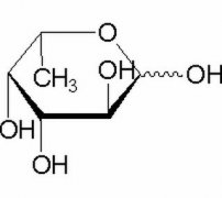 L（-）岩藻糖 分析标准品,Purity≥98% 2438-