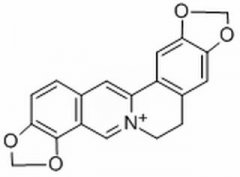 黄连碱 分析标准品,HPLC≥98% 3486-66-6