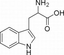 DL-色氨酸 分析标准品,HPLC≥98% 54-12-6