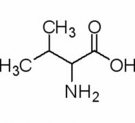 DL-缬氨酸 分析标准品,HPLC≥98% 516-06-3