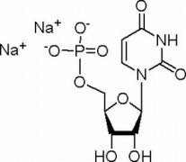 5-尿苷一磷酸二钠盐 分析标准品,HPLC≥98% 3387