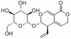 龙胆苦苷 分析标准品,HPLC≥98% 20831-76-9