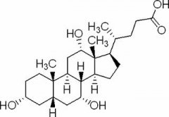 胆酸 分析标准品,HPLC≥98% 81-25-4