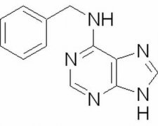 6-苄氨基嘌呤 分析标准品 1214-39-7