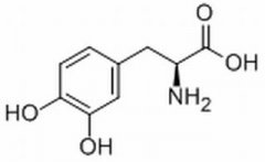 左旋多巴 分析标准品,HPLC≥98% 59-92-7