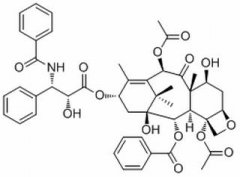 紫杉醇 分析标准品,HPLC≥98% 33069-62-4