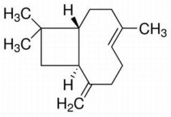 β-丁香烯 分析标准品 87-44-5