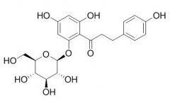 根皮苷 分析标准品,HPLC≥98% 60-81-1