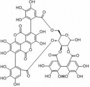 安石榴甙 分析标准品,HPLC≥98% 65995-63-3