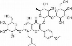 朝藿定A 分析标准品,HPLC≥98% 110623-72-