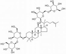 人参皂苷Rb1 分析标准品,HPLC≥98% 41753-4