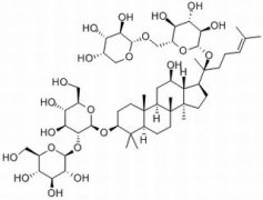 人参皂苷Rb2 分析标准品,HPLC≥98% 11021-13-9