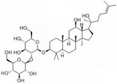 人参皂苷Rg3 分析标准品,HPLC≥98% 14197-6