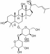 人参皂苷Rg2 分析标准品,HPLC≥98% 52286-7