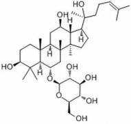 人参皂苷Rh1 分析标准品,HPLC≥98% 63223-8