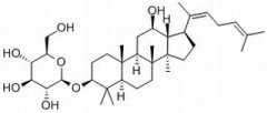 人参皂苷Rh3 分析标准品,HPLC≥98% 105558-