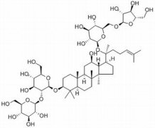 人参皂苷Rc 分析标准品,HPLC≥98% 11021-14-0