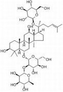 人参皂苷Re 分析标准品,HPLC≥98% 52286-59