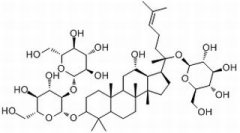 人参皂苷Rd 分析标准品,HPLC≥98% 52705-93-8