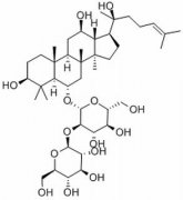 人参皂苷Rf  分析标准品,HPLC≥98% 52286-5