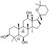 人参三醇 分析标准品,HPLC≥98% 32791-84-7