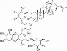 酸枣仁皂苷A 分析标准品,HPLC≥98% 55466-04