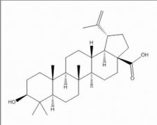 白桦脂酸 分析标准品,HPLC≥98% 472-15-1