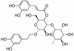 类叶升麻苷 分析标准品,HPLC≥98% 61276-17-