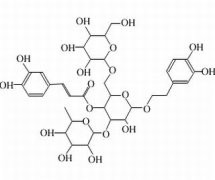 松果菊苷  分析标准品,HPLC≥98% 82854-37-3