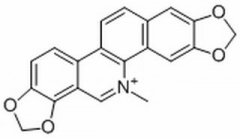 血根碱 分析标准品,HPLC≥98% 2447-54-3