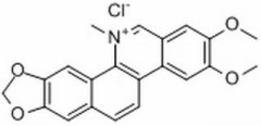 氯化两面针碱 分析标准品,HPLC≥98% 13063-04