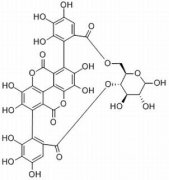 石榴皮鞣素 分析标准品,HPLC≥98% 65995-64-