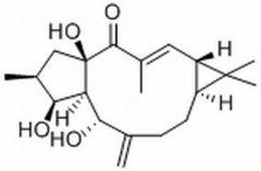 千金子二萜醇 分析标准品,HPLC≥98% 34420-19