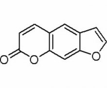 补骨脂素 分析标准品,HPLC≥98% 66-97-7