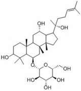 (R型)人参皂苷Rh1 分析标准品,HPLC≥98% 80952-71-2