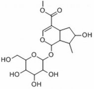 马钱苷 分析标准品,HPLC≥98% 18524-94-2