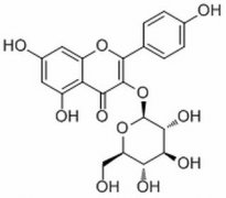 紫云英苷 分析标准品,HPLC≥98% 480-10-4