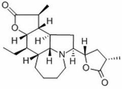 对叶百部碱 分析标准品,HPLC≥98% 6879-01-2