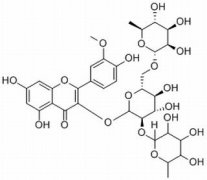 香蒲新苷 分析标准品,HPLC≥98% 104472-68-