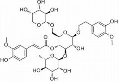 安格洛甙C 分析标准品,HPLC≥98% 115909-22